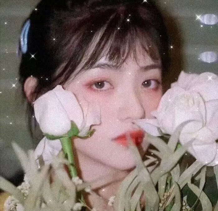 洪拳小子