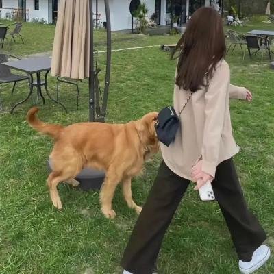 万渣朝凰第二季
